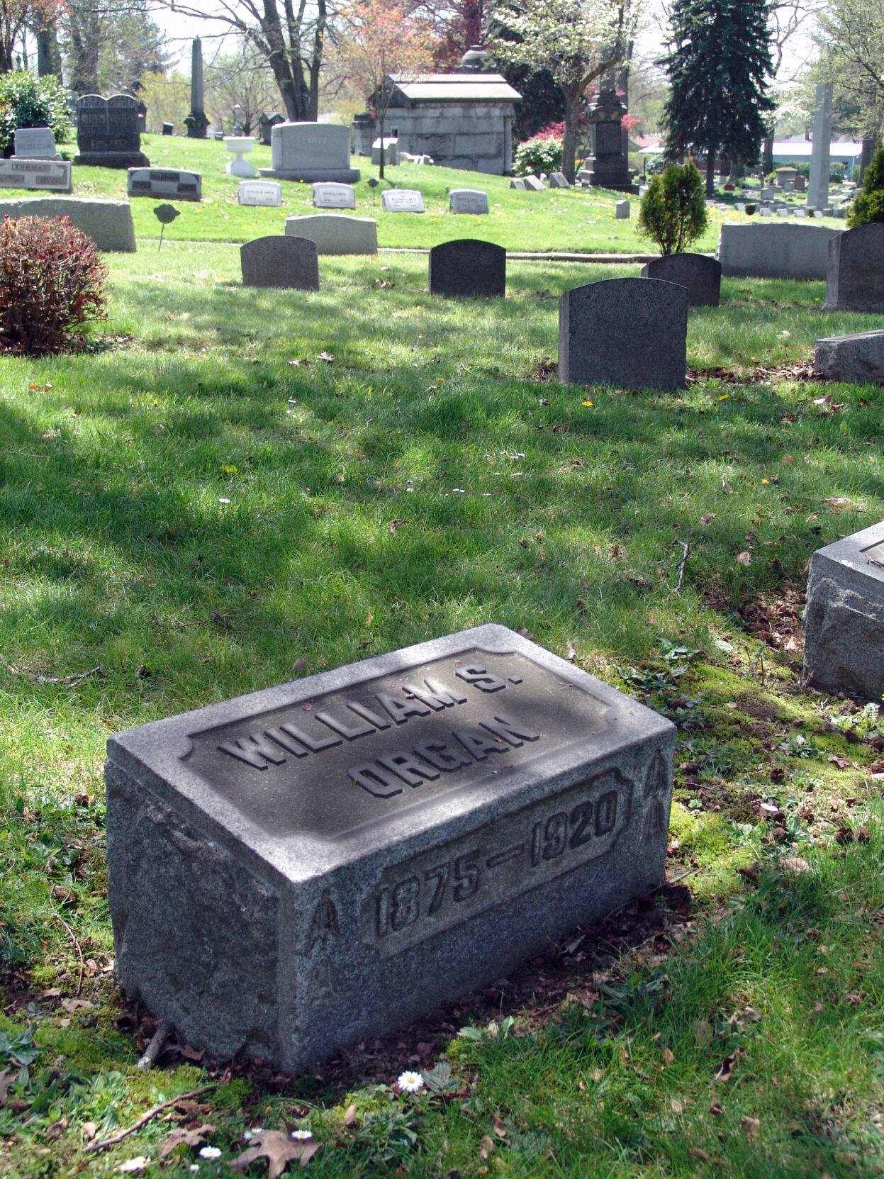 Billy Organ grave jz915.JPG